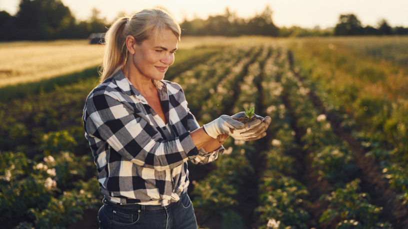 Entenda, com João Eustáquio De Almeida Junior, quais estratégias o produtor rural pode utilizar para minimizar os impactos das variações do mercado e tomar decisões mais seguras no campo.