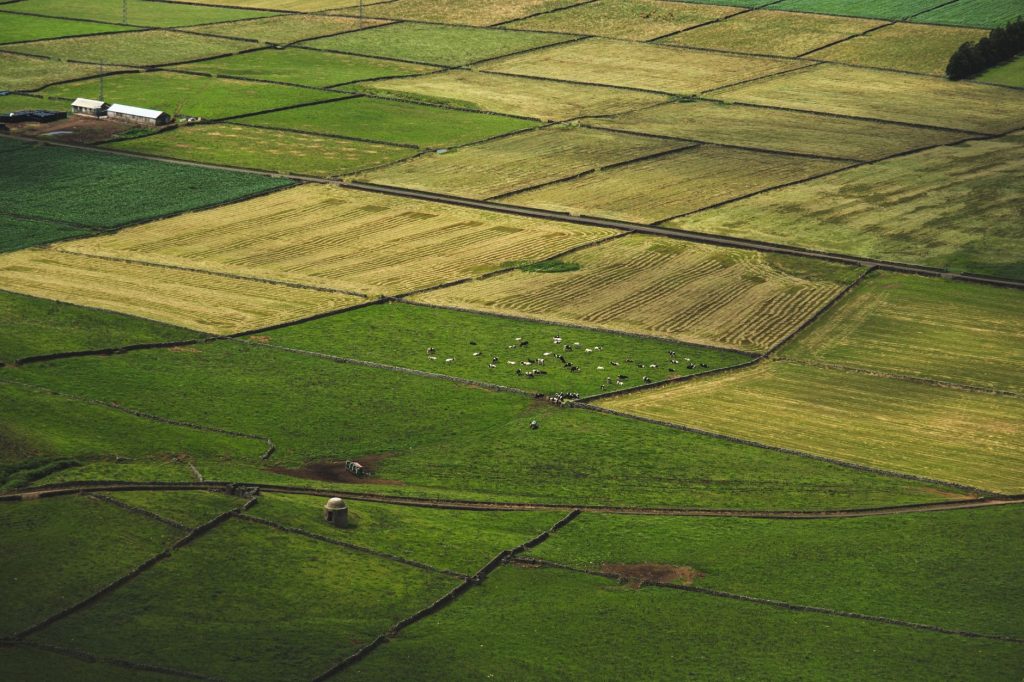 Vista aérea de campos agrícolas em diferentes tons, com gado pastando entre as áreas cultivadas.